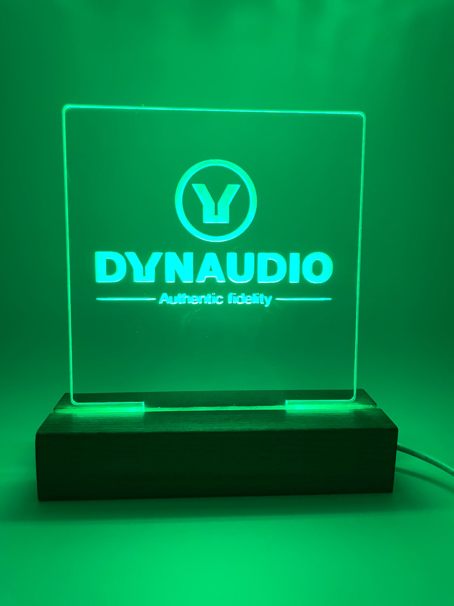 LED Acrylic Music Room Decoration Dynaudio