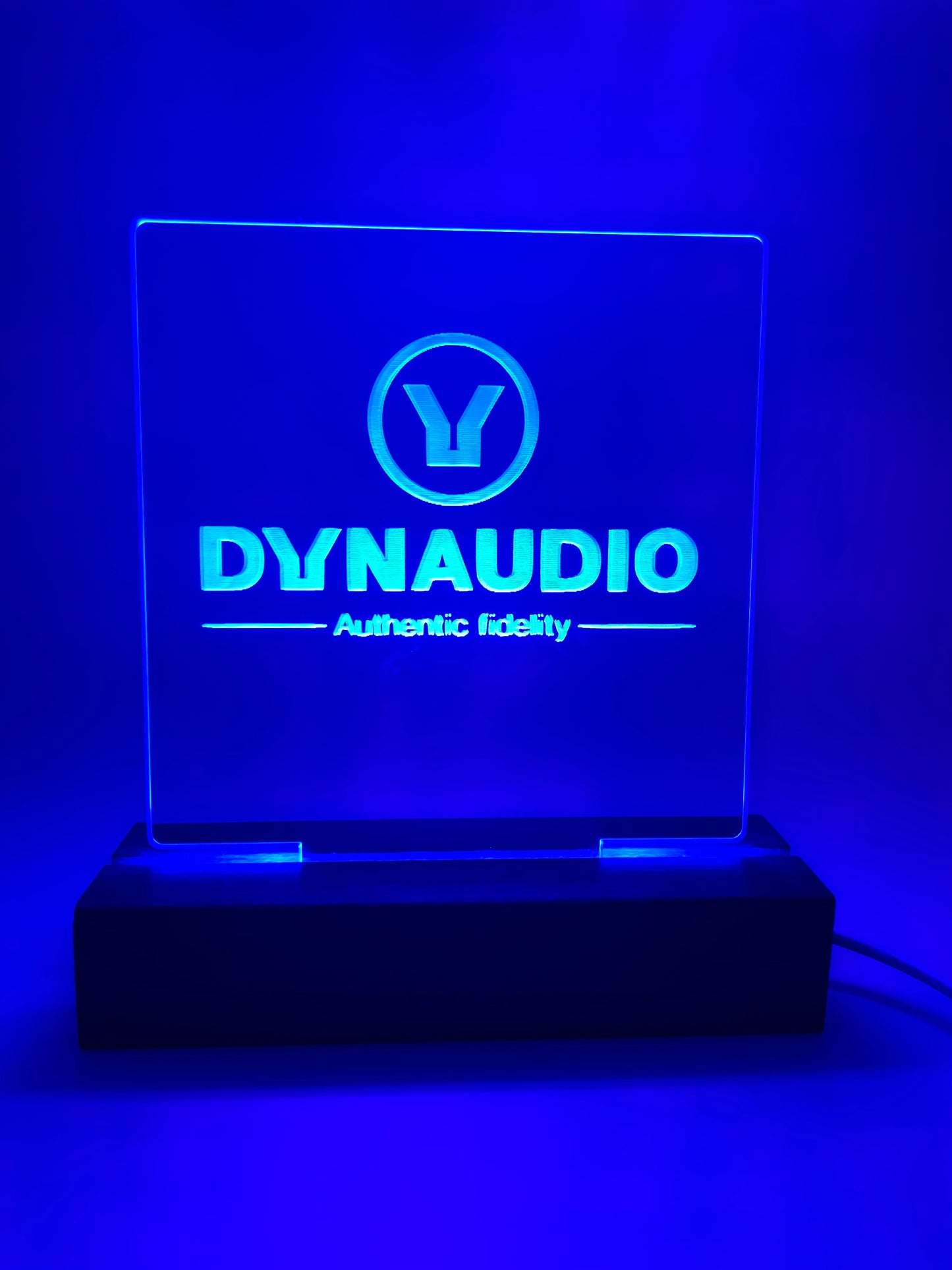 LED Acrylic Music Room Decoration Dynaudio