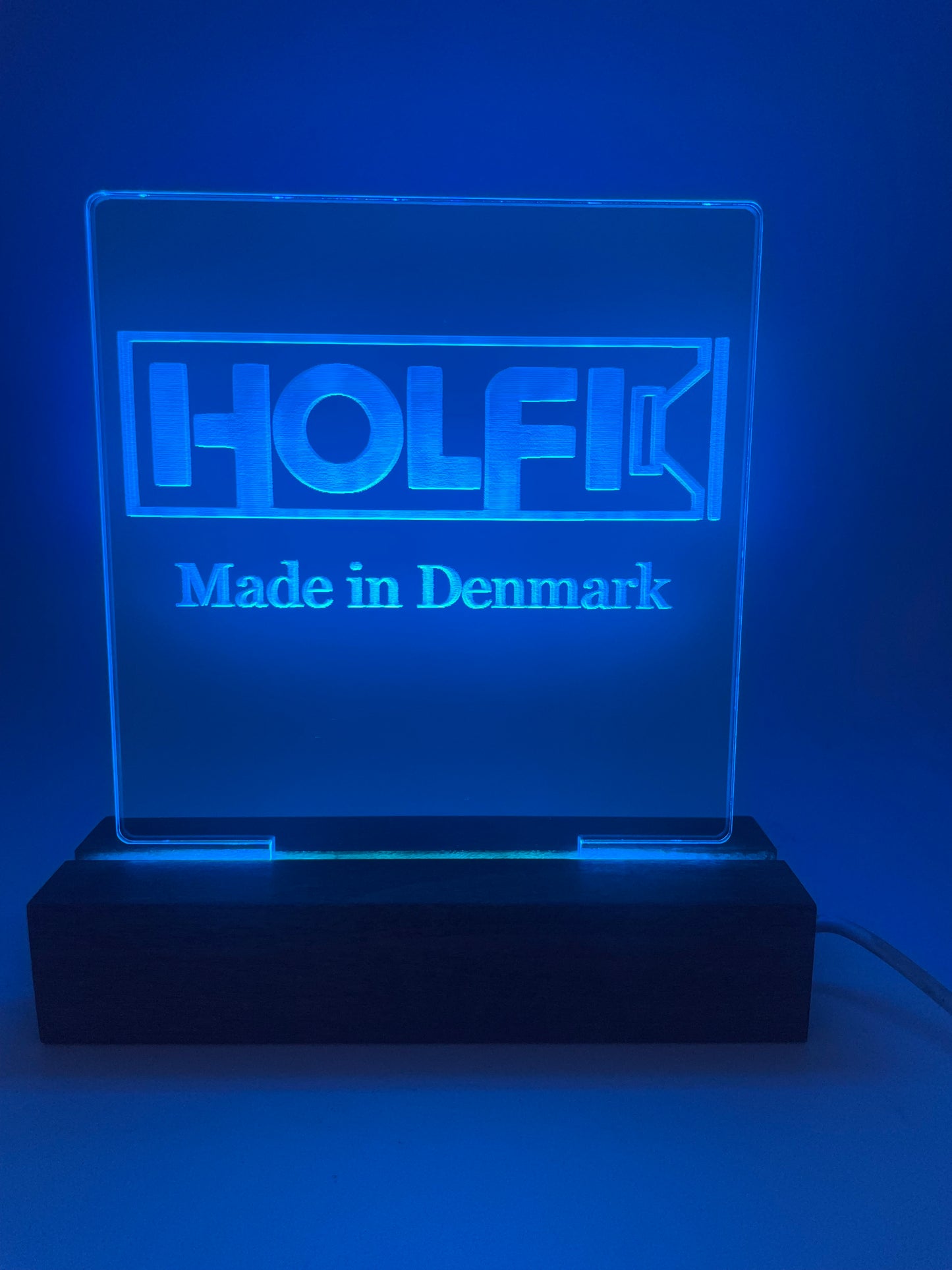 LED Acrylic Music Sing Decoration Holfi