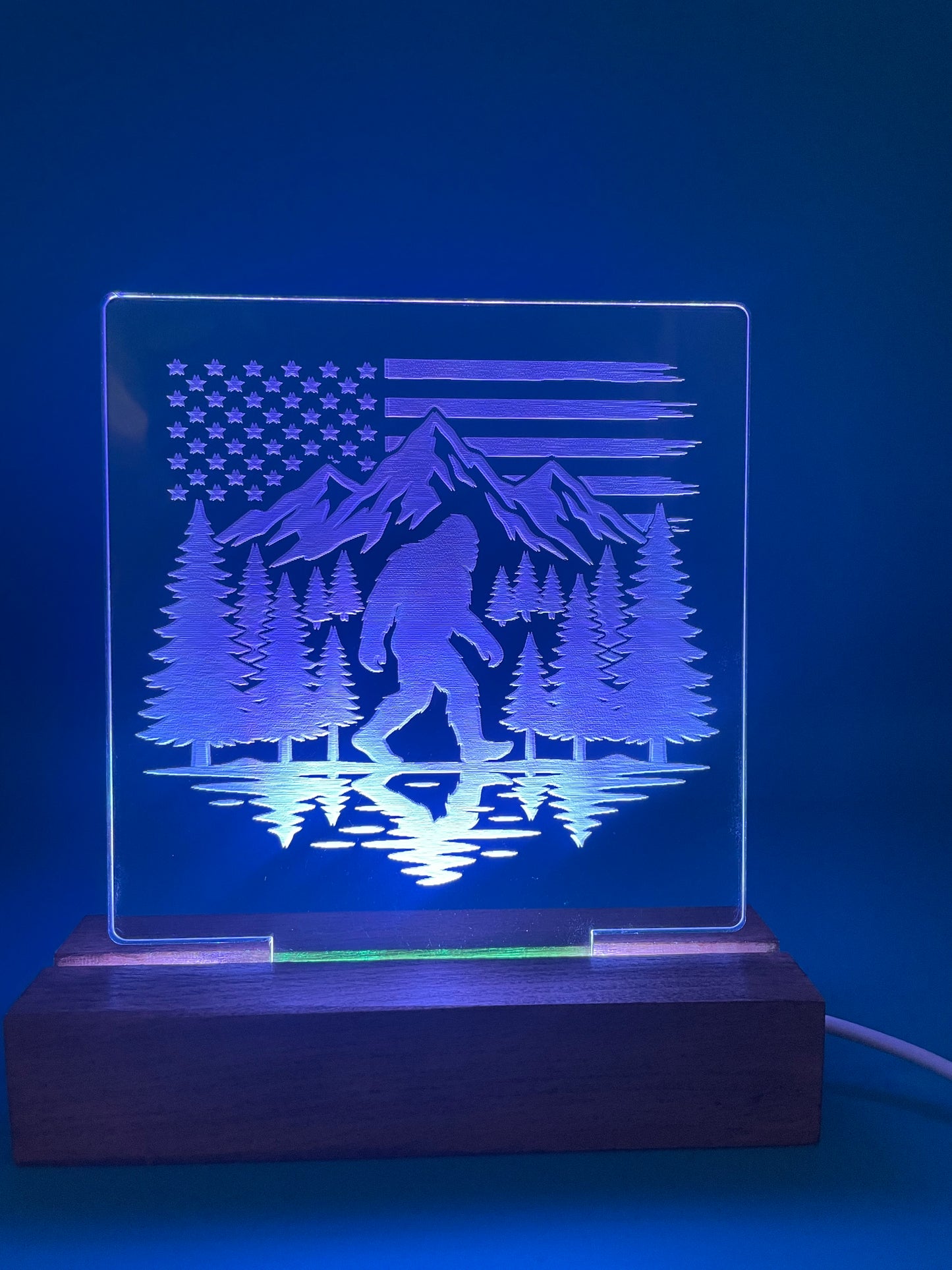 LED Acrylic Big Foot Sign