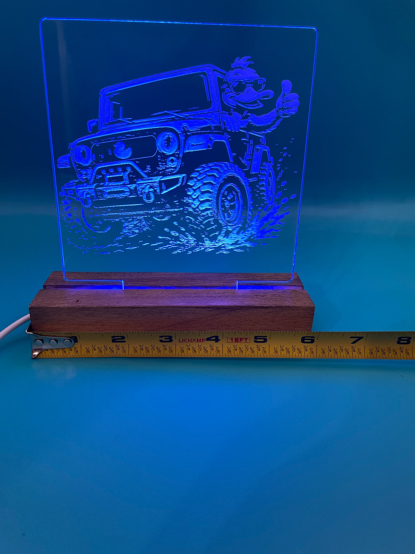 LED Acrylic Thumbs Up Duck 4x4 Decorative Sign