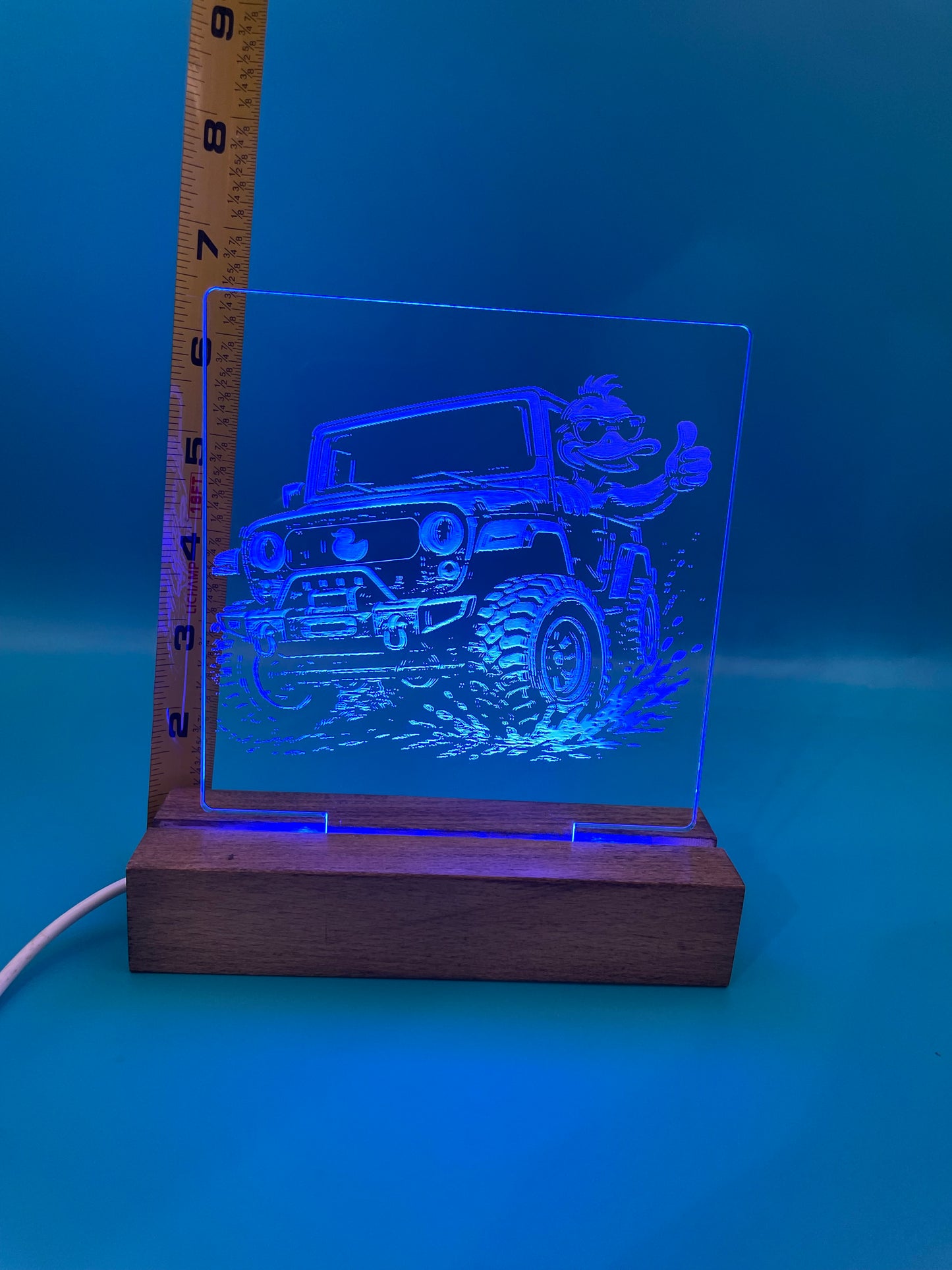 LED Acrylic Thumbs Up Duck 4x4 Decorative Sign